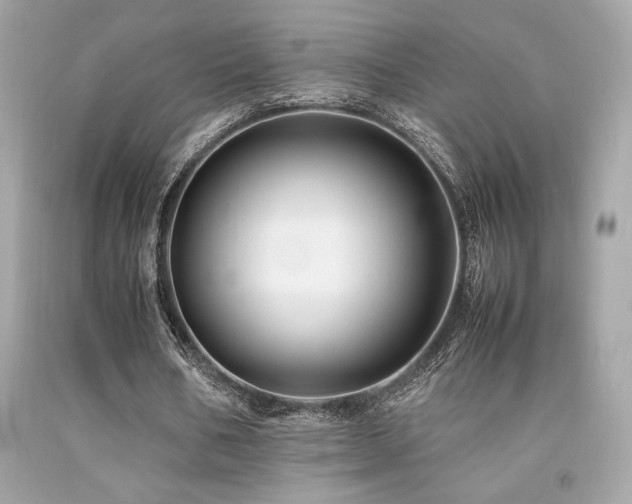 X0000092060578200709121356