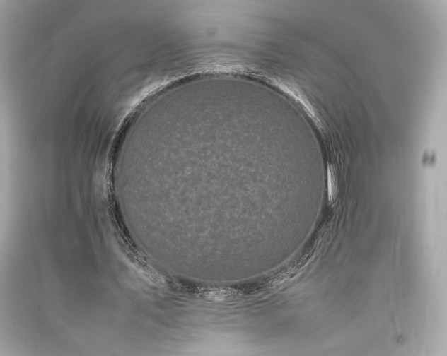 X0000092060579200709121356