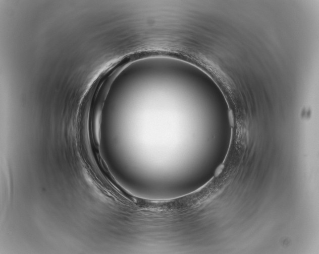 X0000092060580200709121356