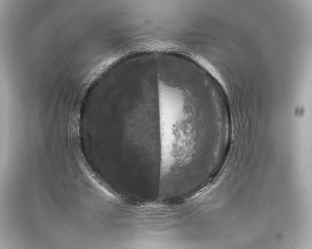 X0000092060581200709121356