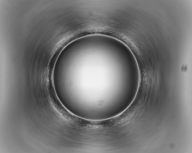 X0000092060582200709121356