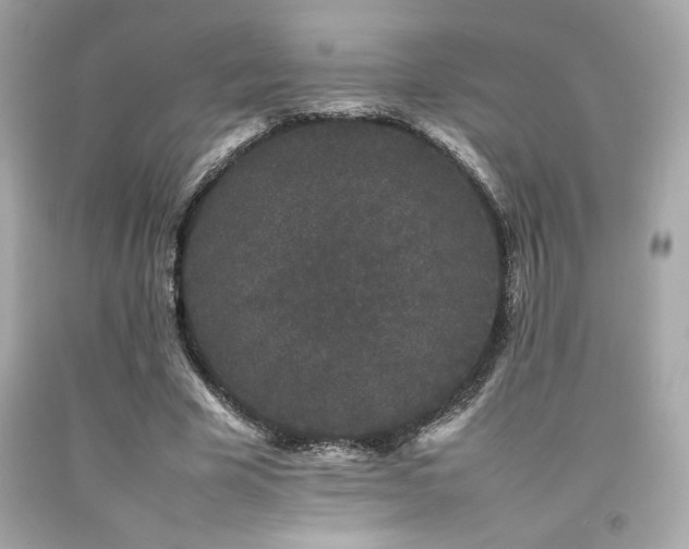 X0000092060585200709121356