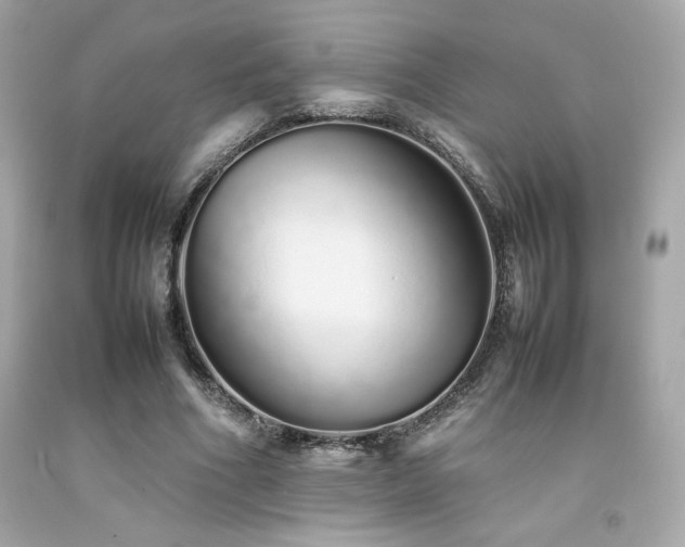 X0000092060586200709121356