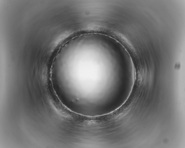 X0000092060588200709121356