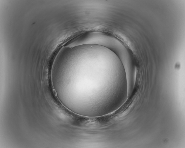 X0000092060589200709121356
