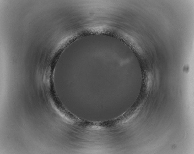 X0000092060590200709121356