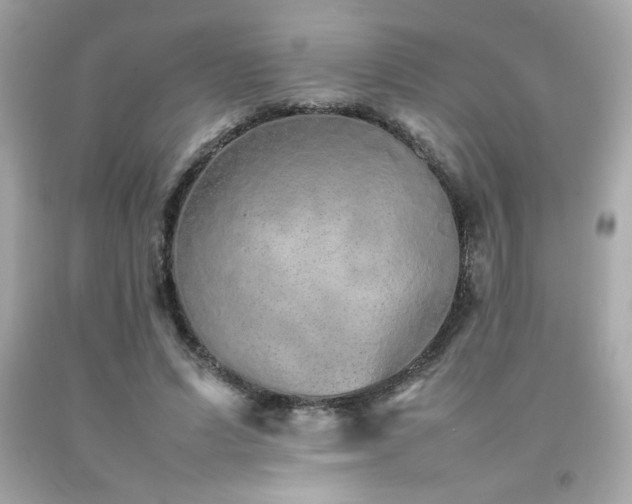 X0000092060591200709121356