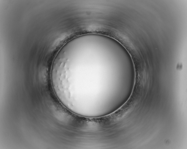 X0000092060592200709121356