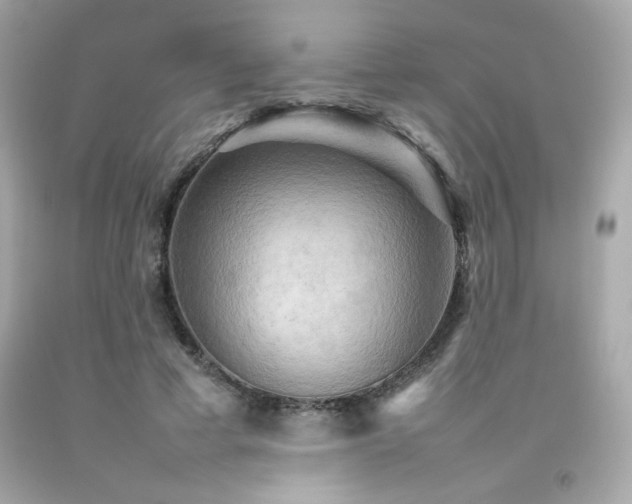 X0000092060593200709121356