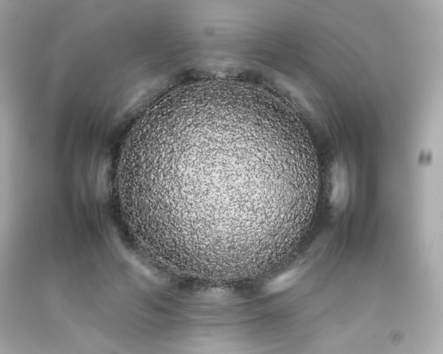 X0000092060594200709121356