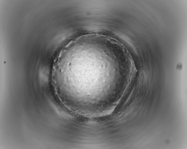 X0000092060596200709121356