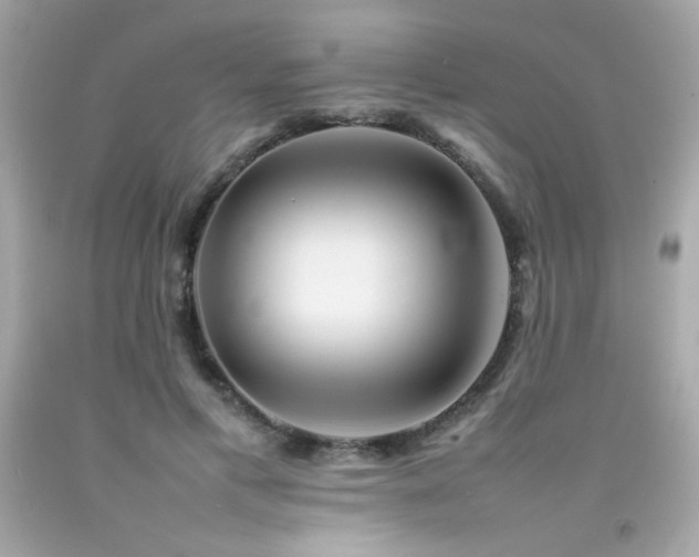 X0000092060597200709121356