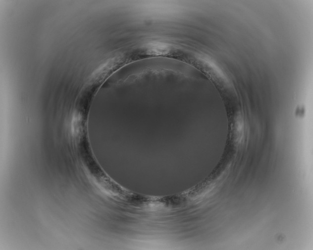 X0000092060598200709121356
