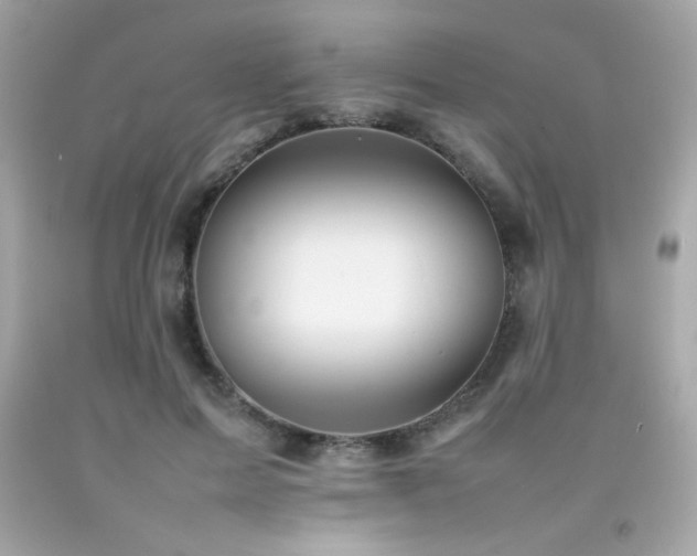 X0000092060599200709121356