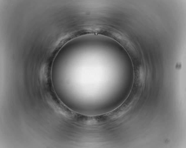 X0000092060600200709121356