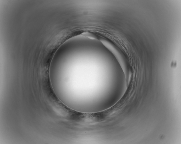 X0000092060601200709121356