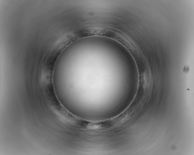 X0000092060602200709121356