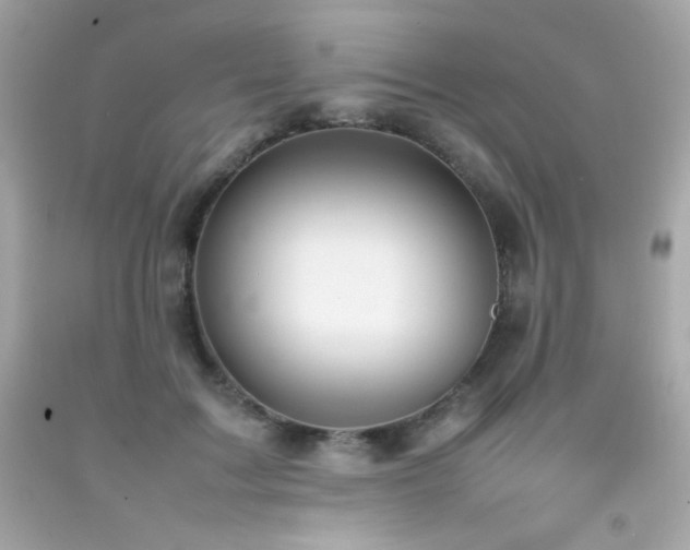 X0000092060603200709121356