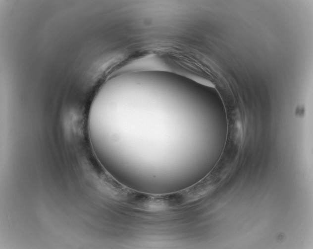 X0000092060604200709121356
