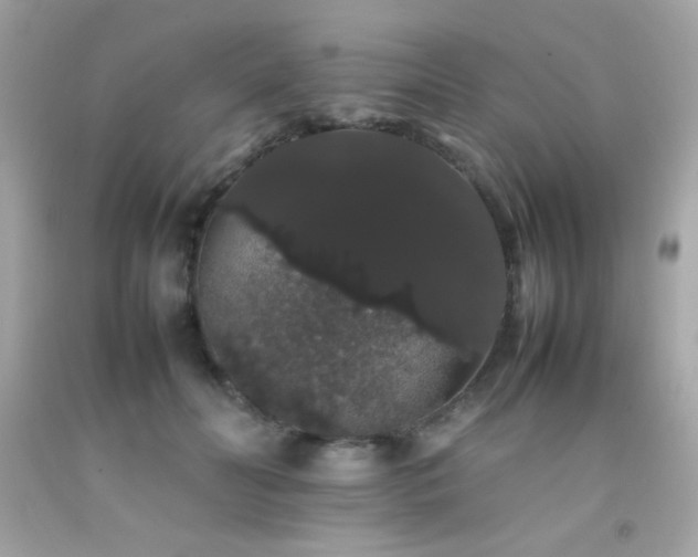 X0000092060606200709121356