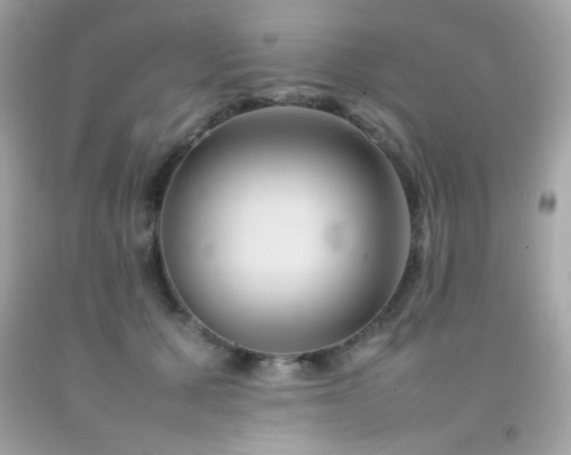 X0000092060607200709121356
