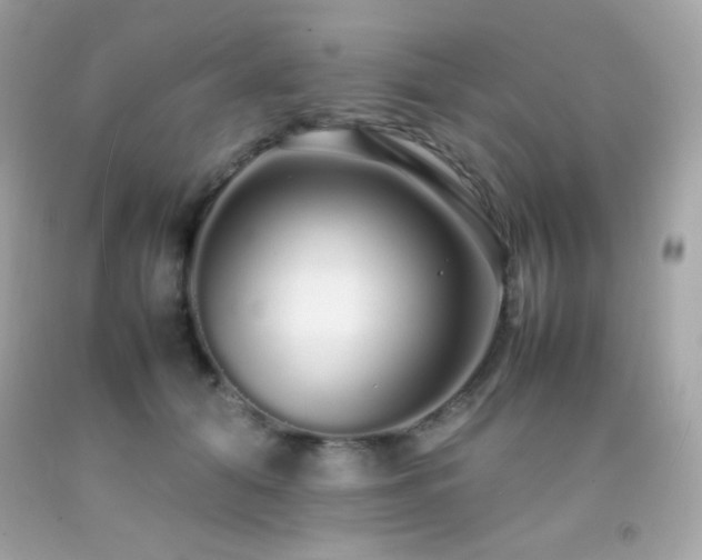 X0000092060608200709121356