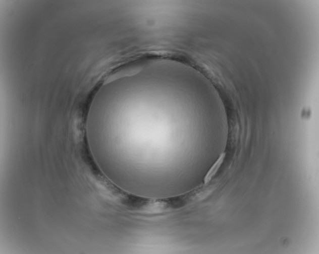 X0000092060609200709121356