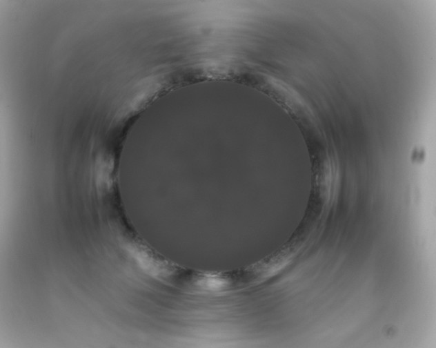 X0000092060610200709121355