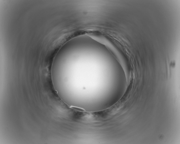 X0000092060611200709121355