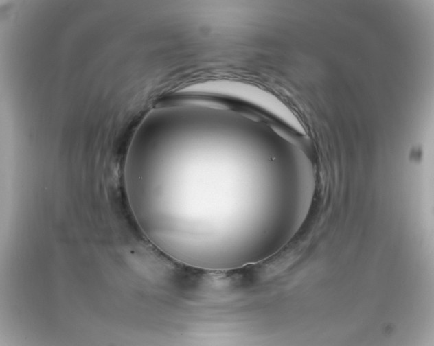 X0000092060613200709121355