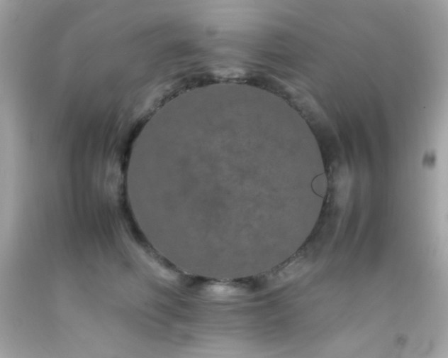 X0000092060614200709121355
