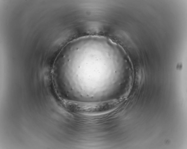 X0000092060616200709121355