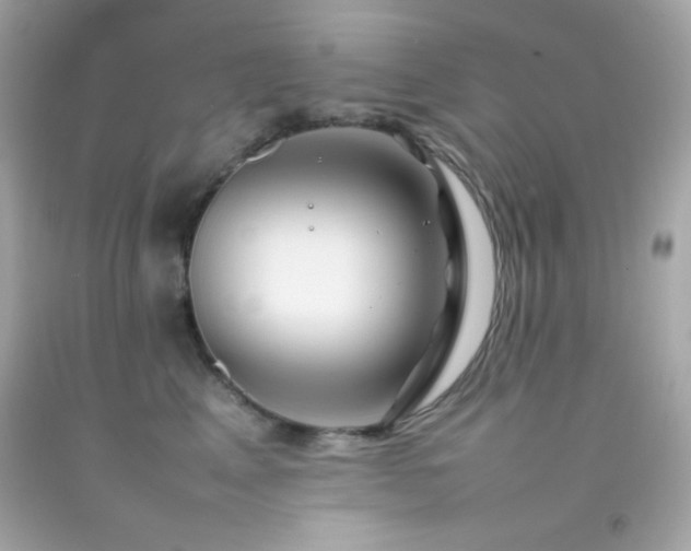 X0000092060617200709121355
