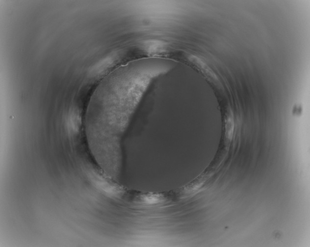 X0000092060618200709121355