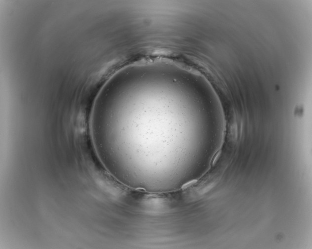 X0000092060620200709121355
