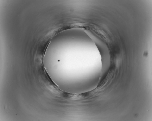 X0000092060621200709121355