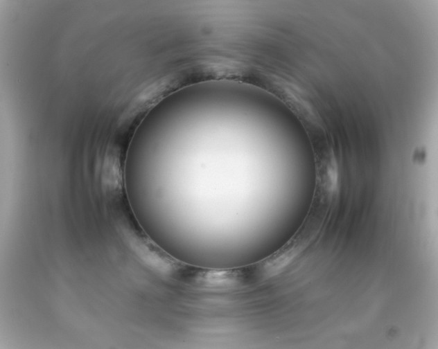 X0000092060622200709121355