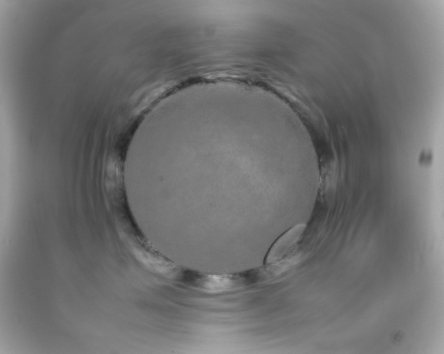 X0000092060623200709121355