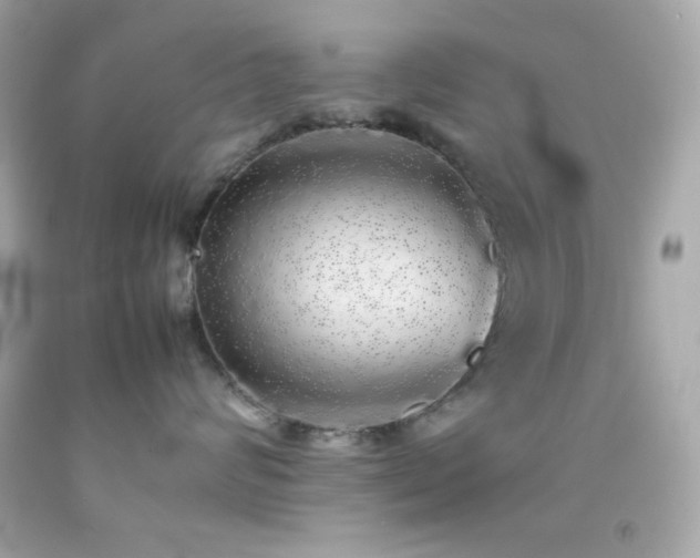 X0000092060624200709121355