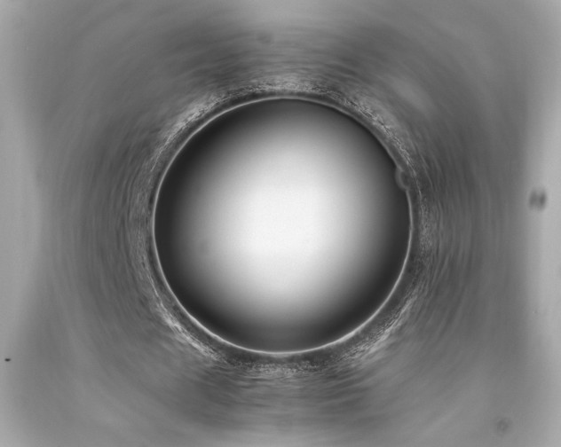 X0000092060625200709121355