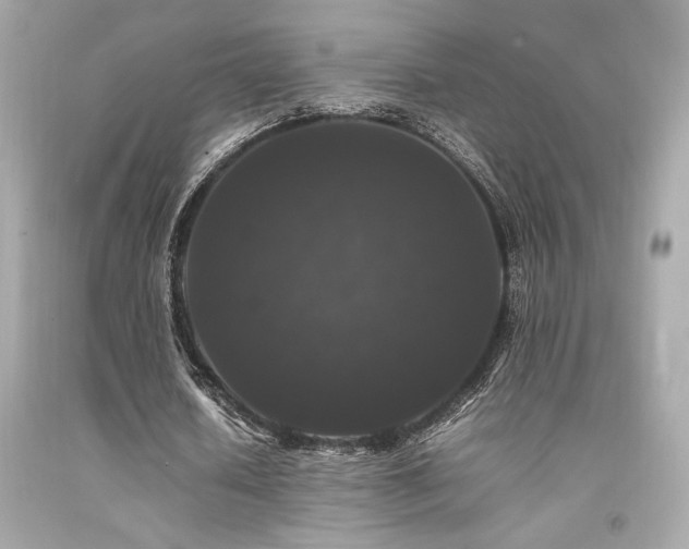 X0000092060626200709121355