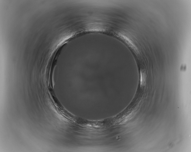 X0000092060627200709121355