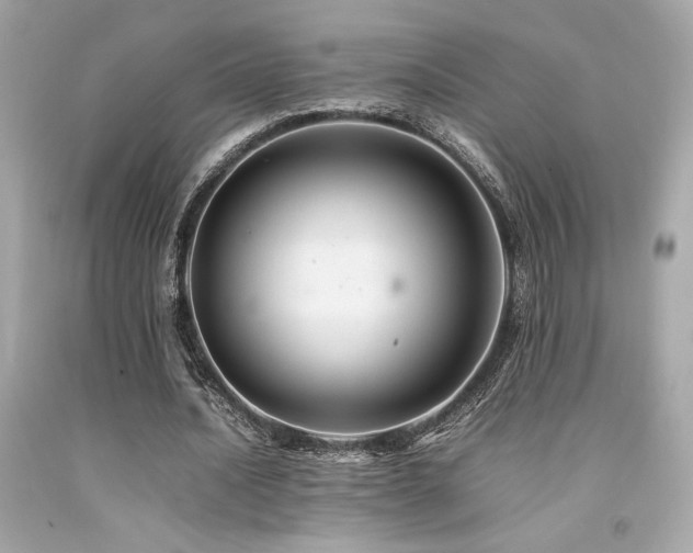 X0000092060628200709121355