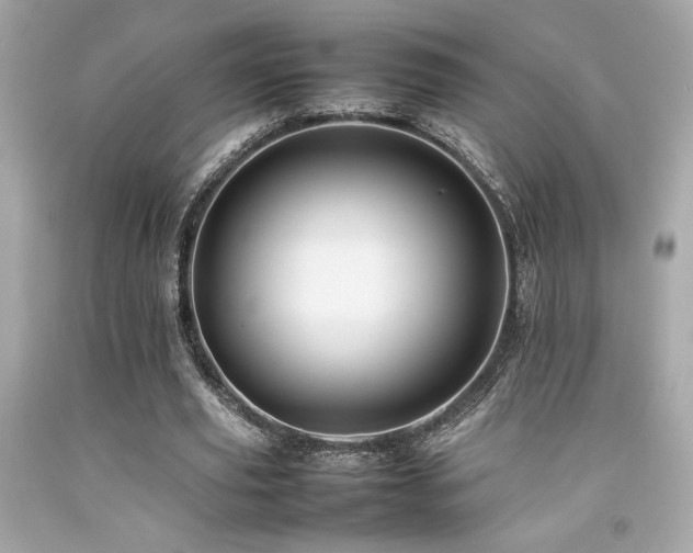 X0000092060629200709121355