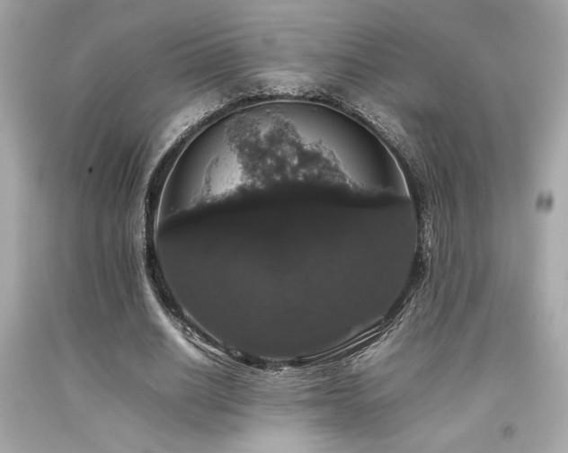 X0000092060630200709121355