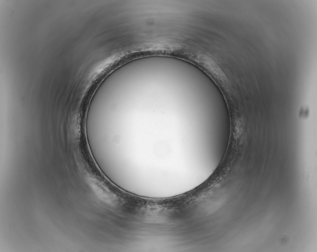 X0000092060632200709121355