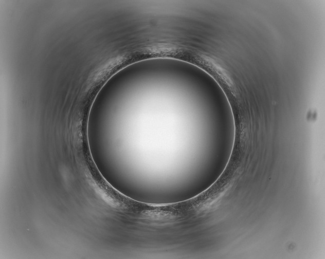 X0000092060633200709121355