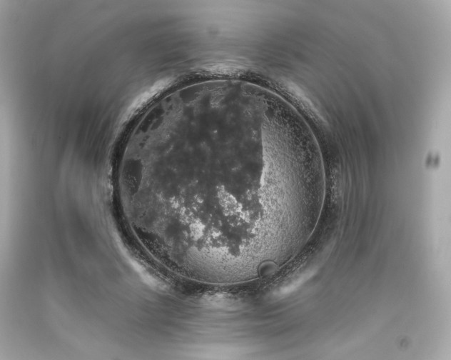 X0000092060634200709121355