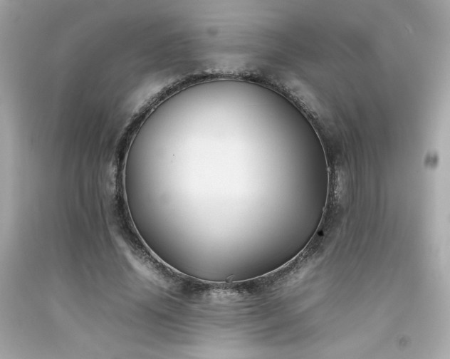 X0000092060636200709121355