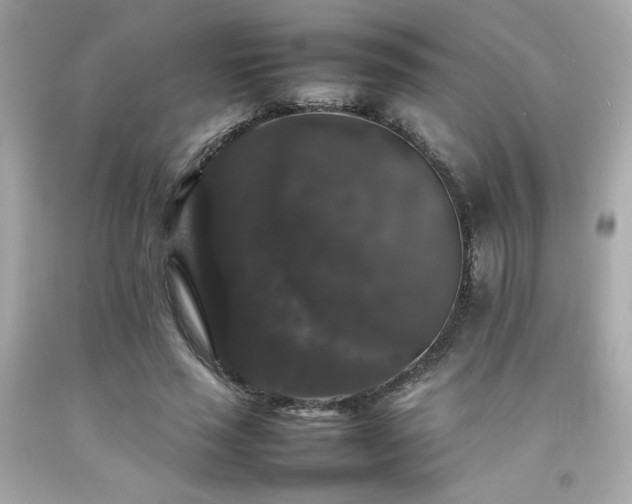 X0000092060637200709121355